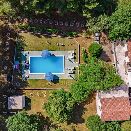 Pool & Garden House Jaga - Happy * Donja Jagodnja